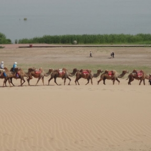 �ҵ�����